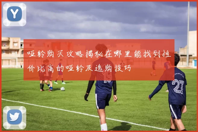 哑铃购买攻略揭秘在哪里能找到性价比高的哑铃及选购技巧